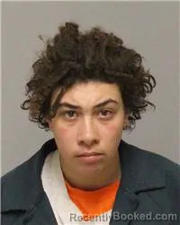 Booking photo from Anoka County, Minnesota