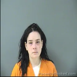 Mugshot of NIKKI ANNE HUUS