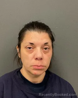 Mugshot of AMANDA MARIE BENSON