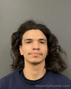 Mugshot of FARON JAMES FINEDAY