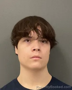 Mugshot of JACK MORRIS HALVORSON