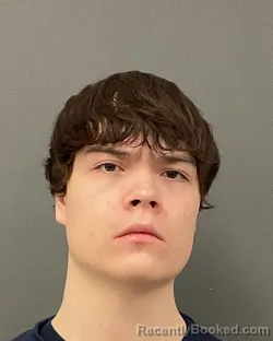 Mugshot of JACK MORRIS HALVORSON