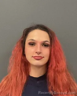 Mugshot of KATARYNA MARIE NELSON