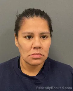 Mugshot of LAURA LYNN SHEARER