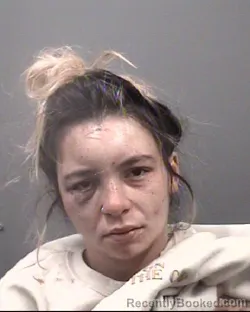 Mugshot of AUTUMN TAYLOR LITTLE