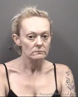 Mugshot of AMBER NICOLE PURSER