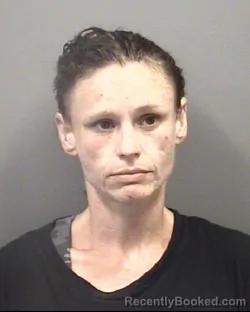 Mugshot of BRITTANY VICTORIA HOWARD