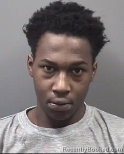 Mugshot of JADEN WILSON