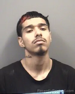 Mugshot of LUIZ RAMIRO VAZQUEZ-MARTINEZ