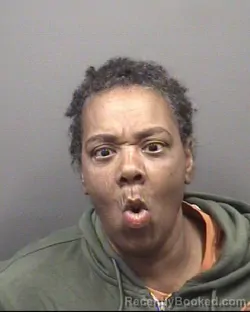 Mugshot of PATTY ROSE GREEN