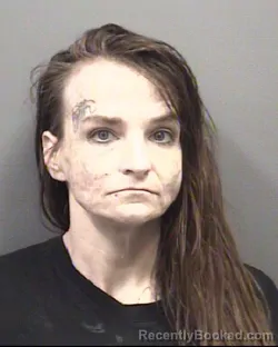 Mugshot of SARAH FAYE WADDELL