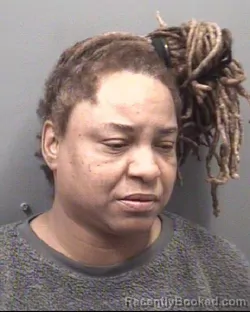 Mugshot of TASHA SERITA HARRIS-HAMPTON