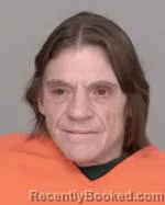 Mugshot of Terri Lynn Yant