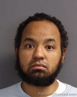 Mugshot of HANZ MATTHEW WILLIAMS