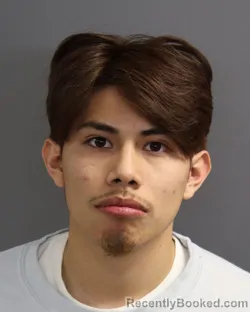 Mugshot of JOEL GONZALEZ
