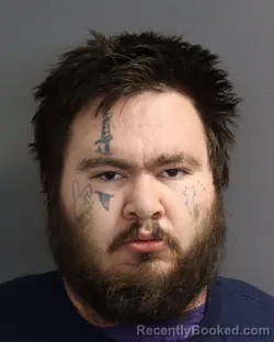 Mugshot of BAILEY ARLEN PEDERSEN