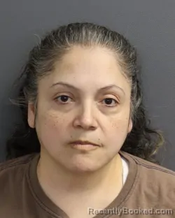 Mugshot of LORENA LEON