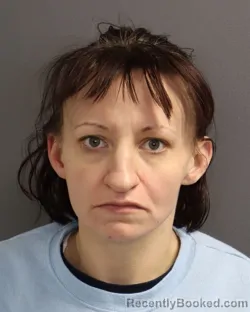 Mugshot of NICOLE JEANINE HIGGINS