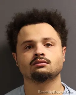 Mugshot of ANTWAN ARNESTA HARRIS