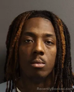 Mugshot of TORRES VASHAWN BERRIEN