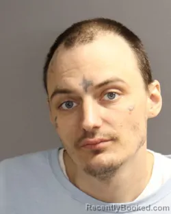 Mugshot of MICHAEL FREDERICK LUER