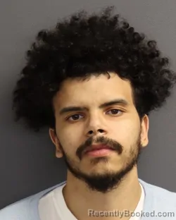 Mugshot of JAMES EDWARD SHOALS