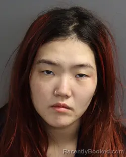 Booking photo from Dakota County, Minnesota