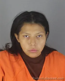 Booking photo from Hennepin County, Minnesota