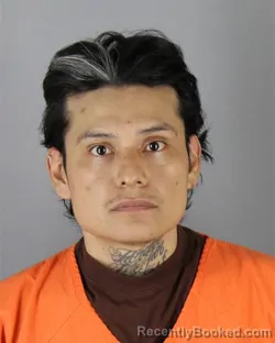 Booking photo from Hennepin County, Minnesota