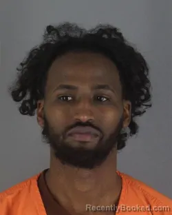 Booking photo from Hennepin County, Minnesota