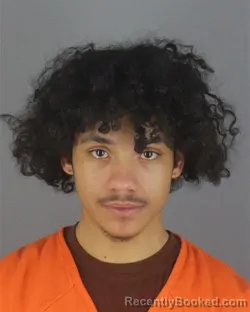 Booking photo from Hennepin County, Minnesota