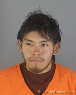 Booking photo from Hennepin County, Minnesota