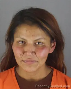 Booking photo from Hennepin County, Minnesota