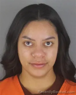 Booking photo from Hennepin County, Minnesota