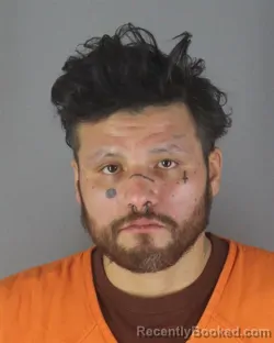 Mugshot of STANLEY ALLAN 3RD BROWN