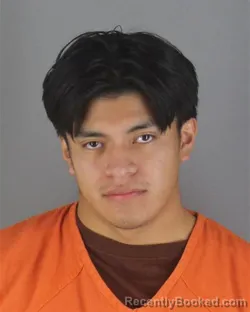 Mugshot of THOMAS JAMES O'MEARA