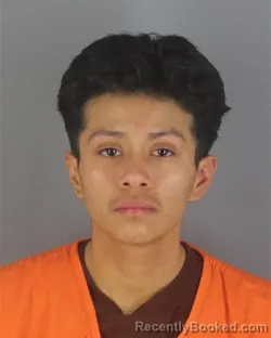 Mugshot of KARINA CAJAMARCA DIRCIO