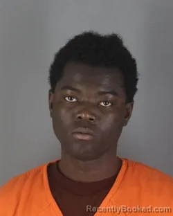 Mugshot of DAVID WESNEL JEAN