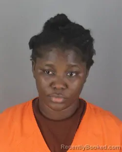 Mugshot of DENNIE KOU PAYE