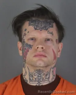 Mugshot of RYAN JOSEPH LEE HARPER