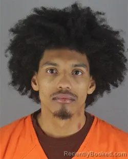 Mugshot of TYRIQ JAYDIN RANUM