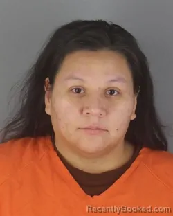 Mugshot of RIKKI LEE FINEDAY