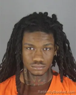 Booking photo from Hennepin County, Minnesota