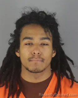 Booking photo from Hennepin County, Minnesota