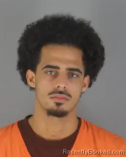 Booking photo from Hennepin County, Minnesota