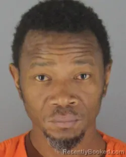 Booking photo from Hennepin County, Minnesota