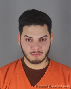 Booking photo from Hennepin County, Minnesota