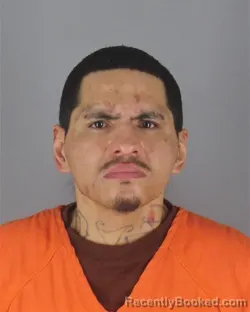 Booking photo from Hennepin County, Minnesota