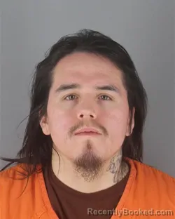 Booking photo from Hennepin County, Minnesota