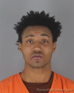 Booking photo from Hennepin County, Minnesota